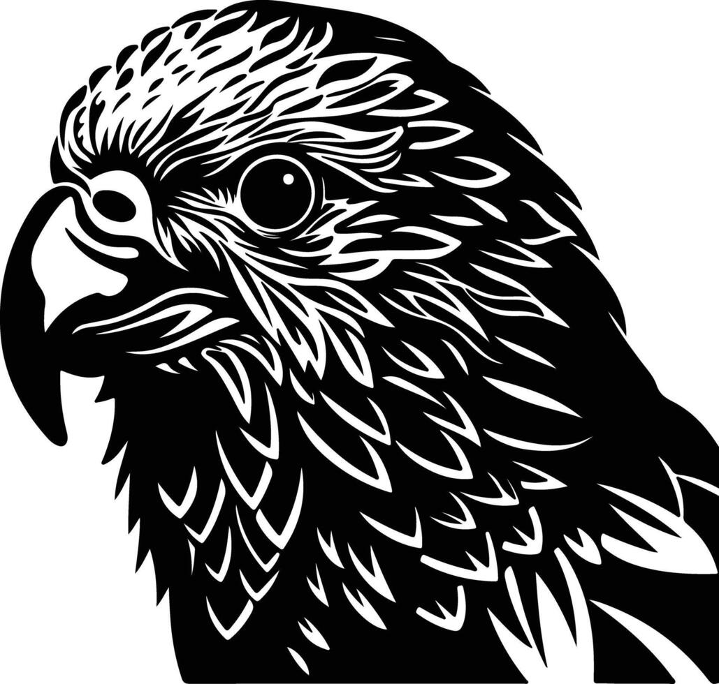 cuddly Black silhouette of kakapo head vector