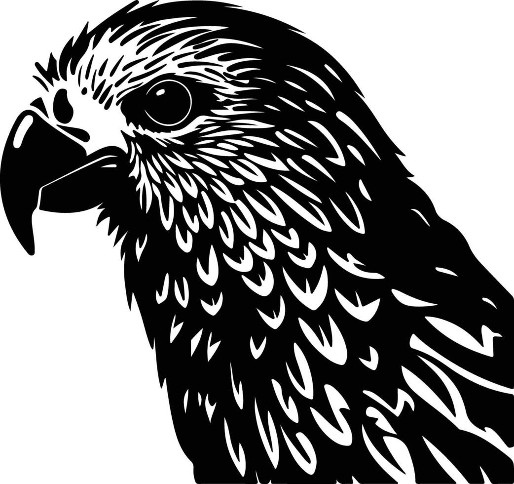 charming Black silhouette of kakapo head vector