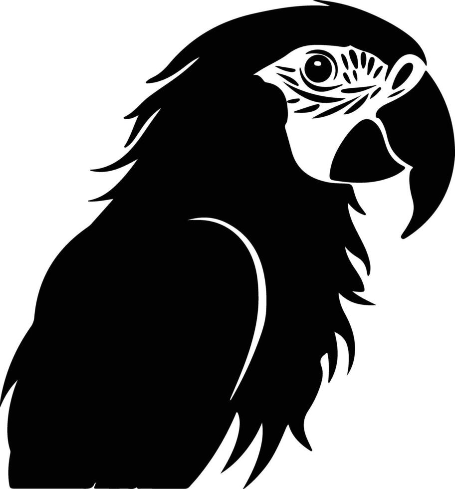 graceful Black silhouette of macaw head vector