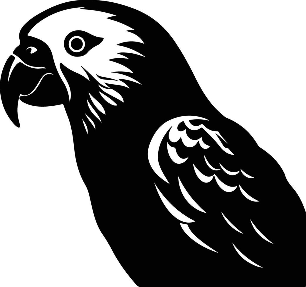 enchanting Black silhouette of parakeet head vector