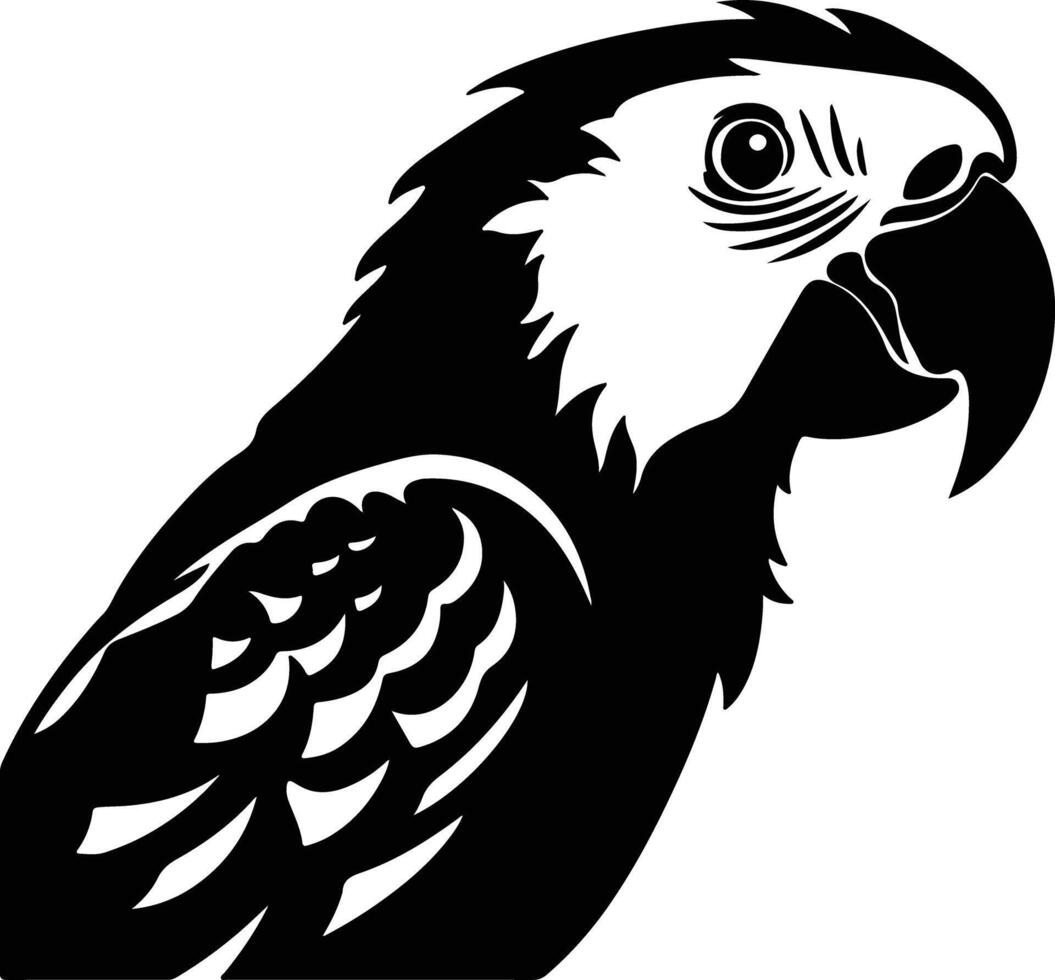 cuddly Black silhouette of parrot head vector