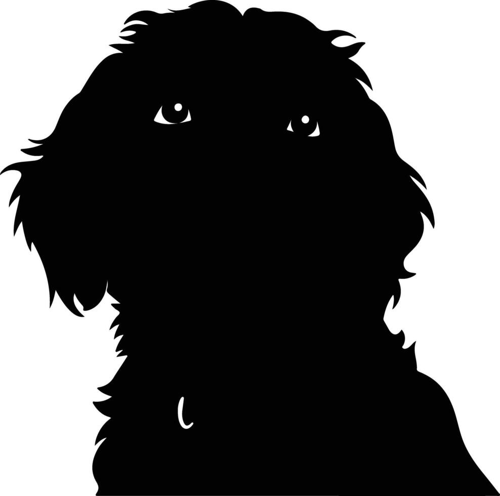 cuddly Black silhouette of Portuguese water dog head vector
