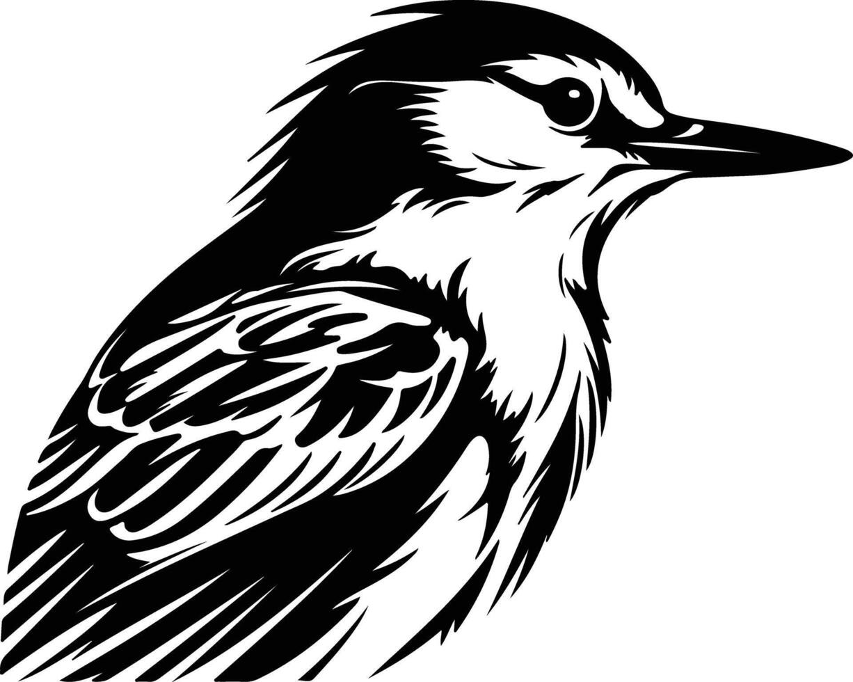 Black silhouette of white-breasted nuthatch head vector