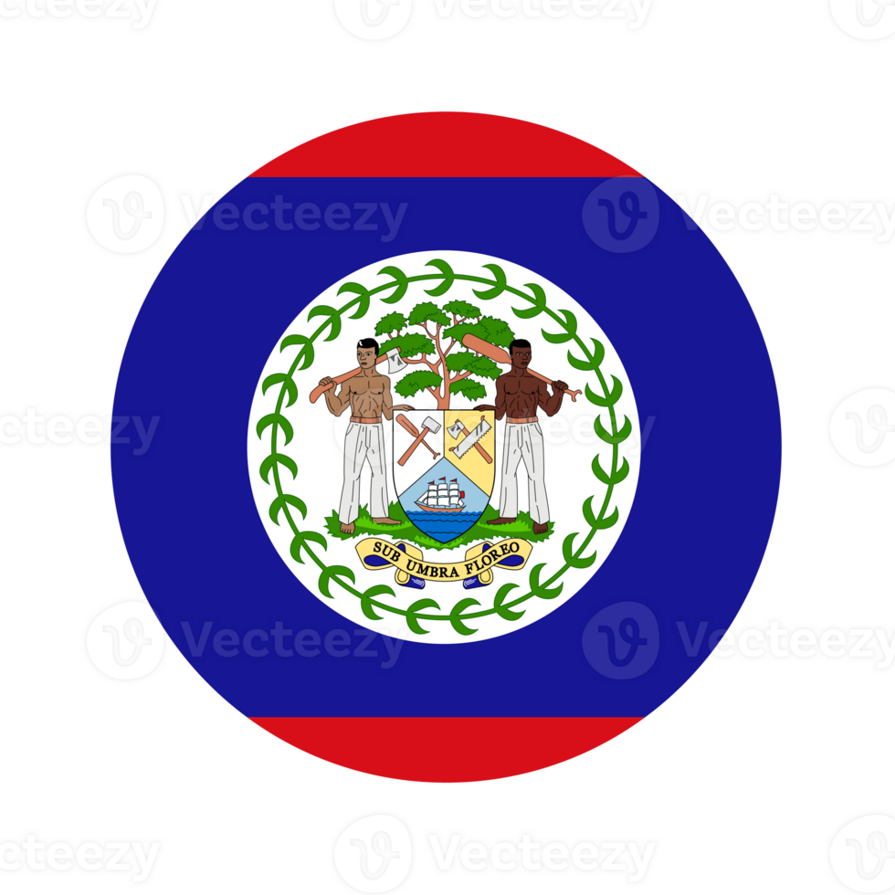 Belize flag simple illustration for independence day or election png