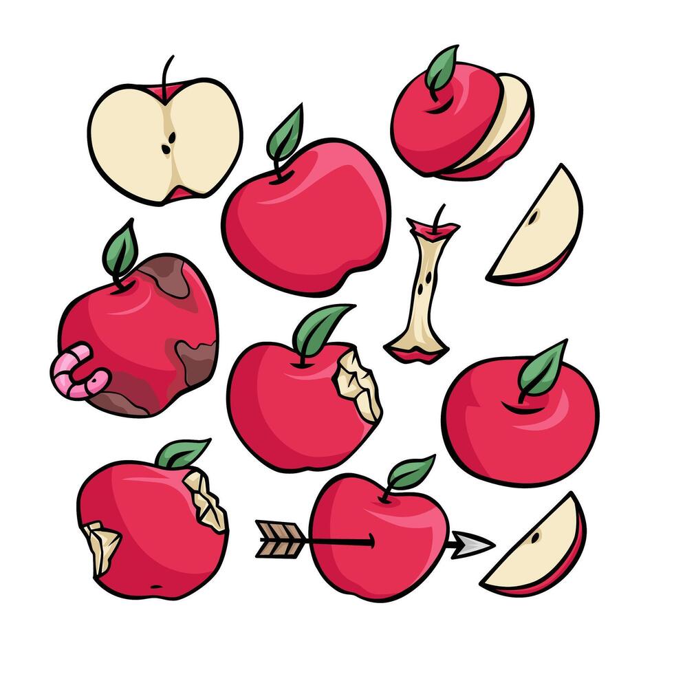 Apple with various condition and view fruit organic agriculture handdrawn doodle sketch illustration vector