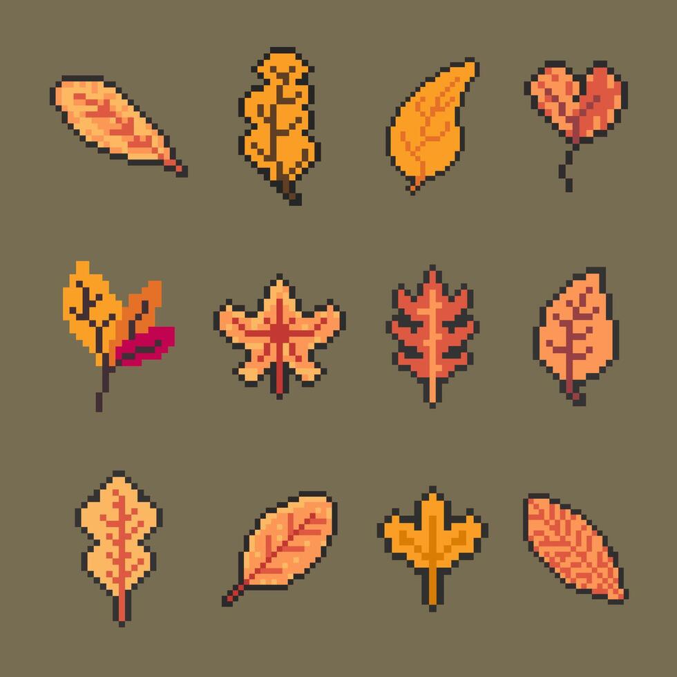 autumn orange leaves vector