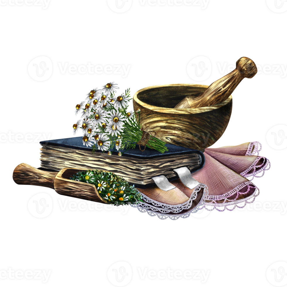 Pharmacy chamomile. Dry crushed medicinal herb. A wooden spoon and a mortar with dried herbs, an old recipe book. Handmade watercolor illustration. For pharmaceuticals and cosmetology. png