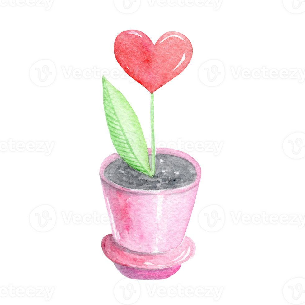 watercolor house plant in pink pot with red heart flower isolated png