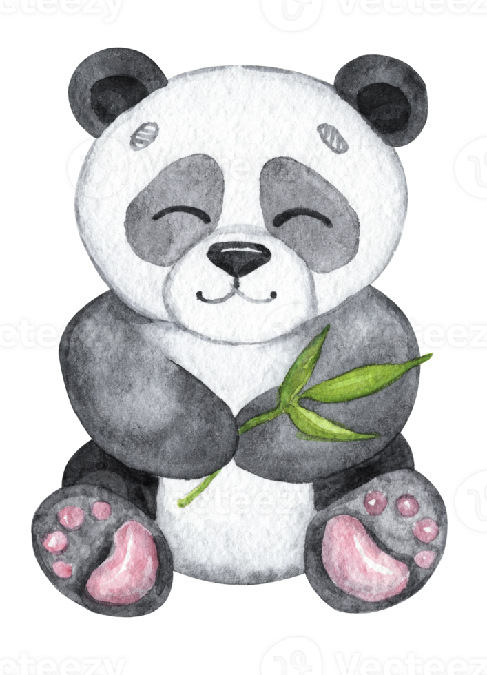 Watercolor cute baby panda isolated png