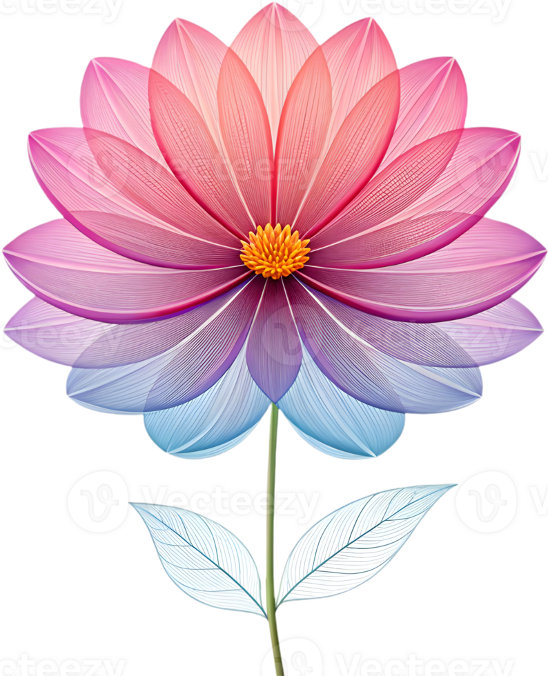 Vibrant Cosmos flower clipart for professional design work. . png