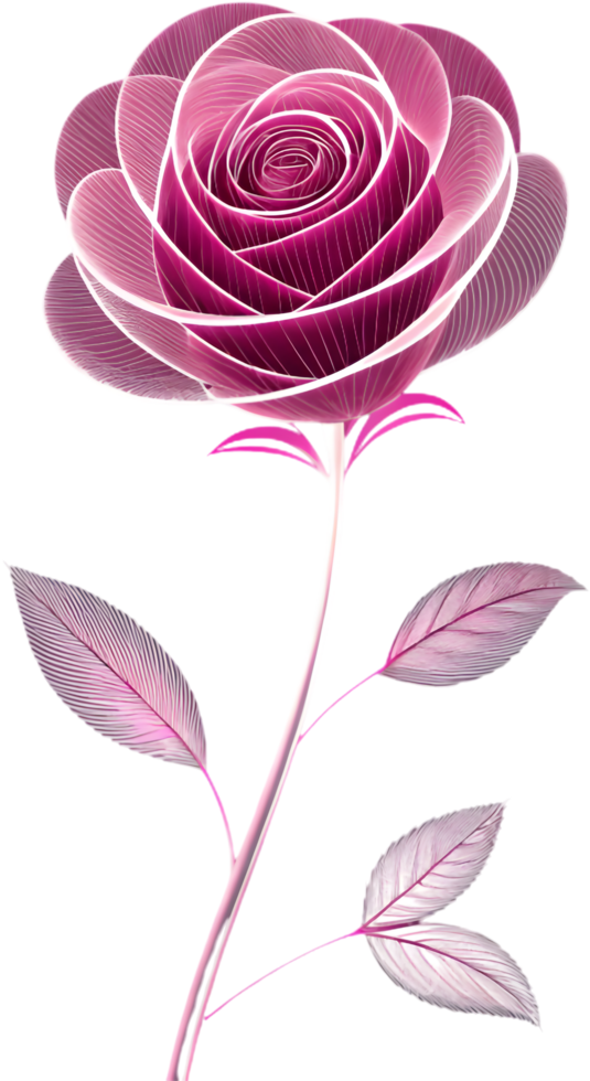 Beautiful Rose flower clipart for decorative design needs. . png