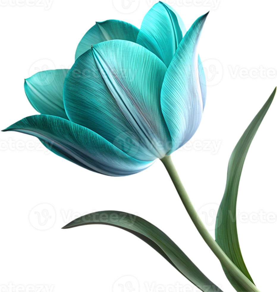 Beautiful Tulip flower icon for digital branding projects. . png