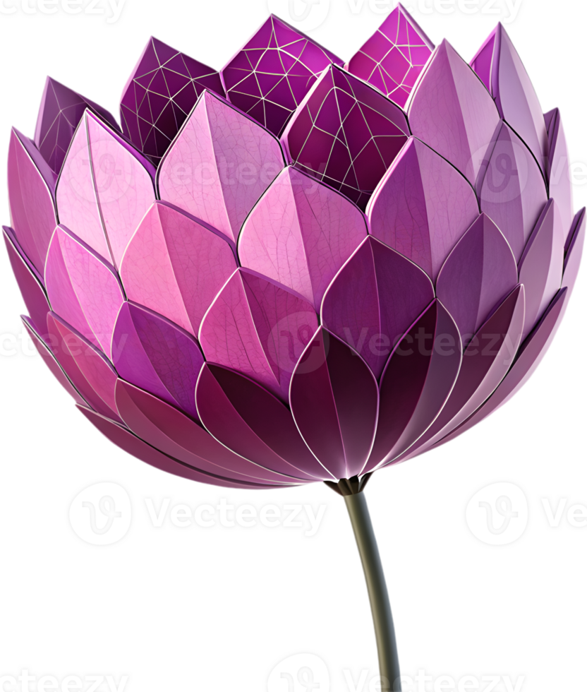 Beautiful Tulip flower clipart for commercial design work. . png