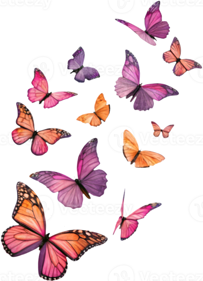 Detailed butterfly clipart showcasing colorful, vibrant wing designs. . png