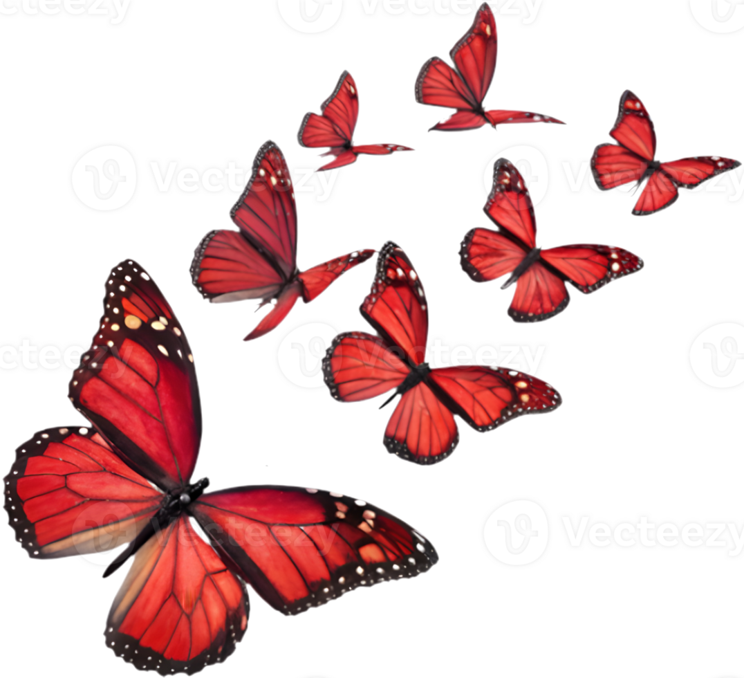 Vibrant butterfly clipart featuring stunning wing patterns and details. . png