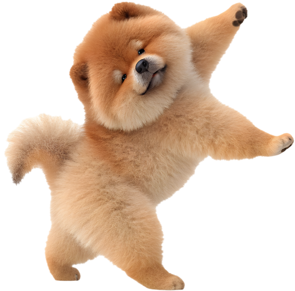 Charming cartoon Chow Chow clipart featuring a lovable expression. . png