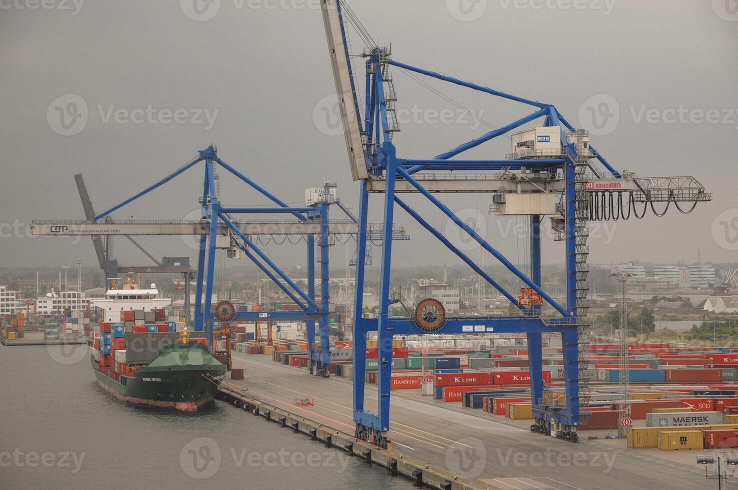 A large crane in the water photo