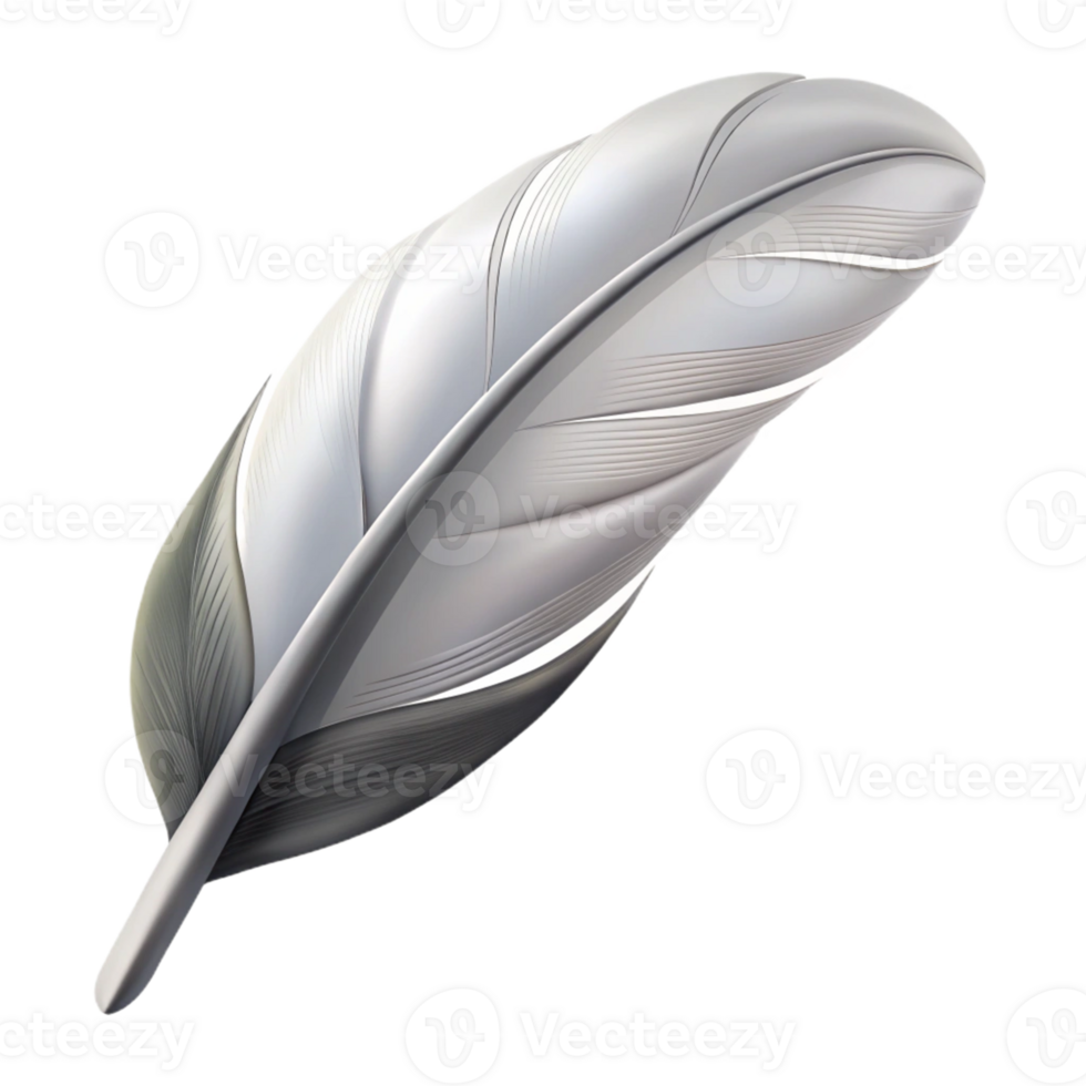 3D Render Silver Feather png
