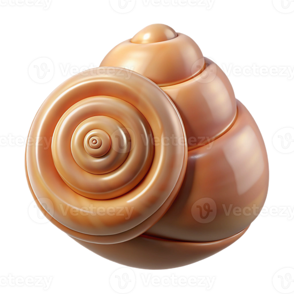 3D Render of Spiral Seashell png