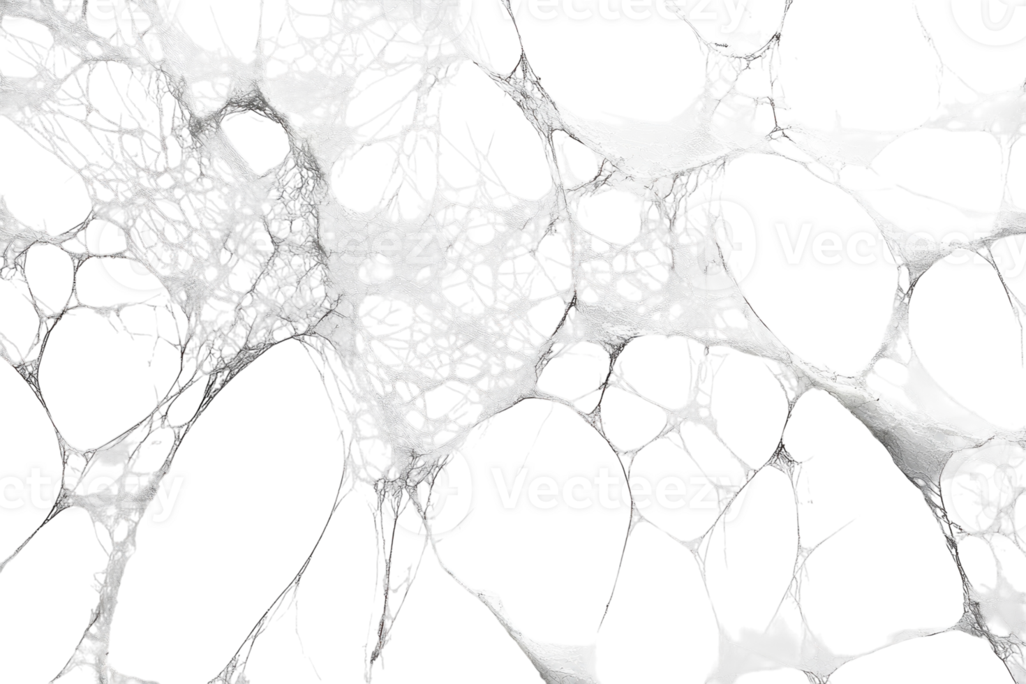 Abstract representation of cell structure with white and gray textures showcasing intricate patterns png