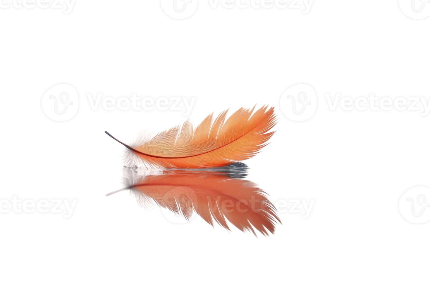 Delicate orange feather resting on smooth surface with soft reflection in calm light png