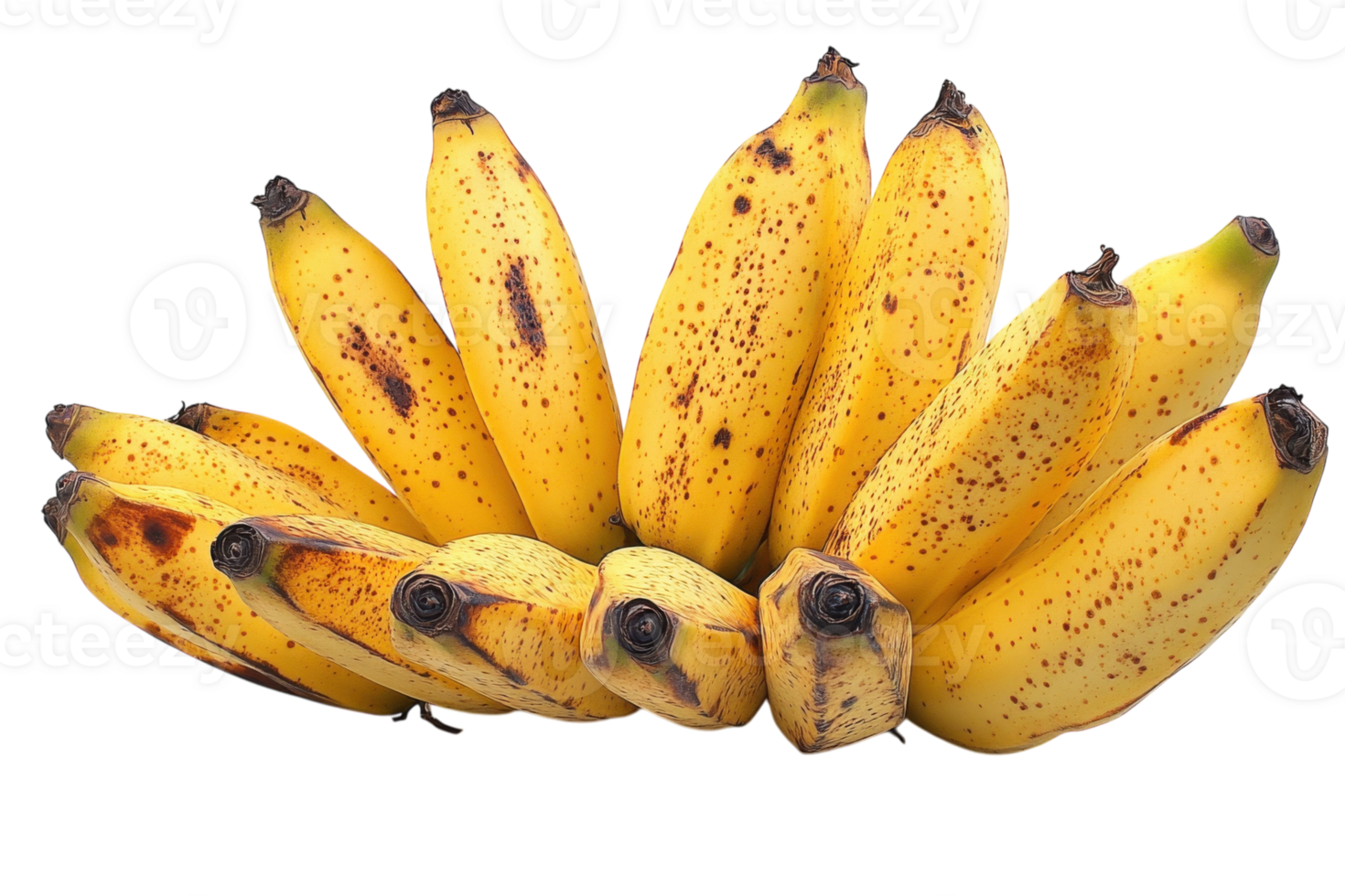 Fresh, ripe bananas arranged neatly on a white background highlighting their yellow color and speckled texture png