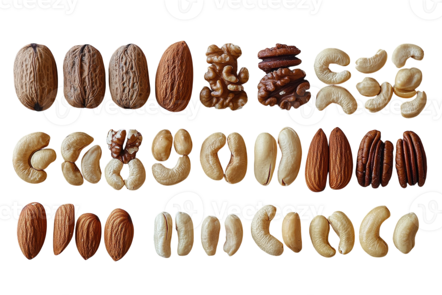 Diverse nuts arranged in neat rows showcasing a variety of textures and colors in a natural light setting png