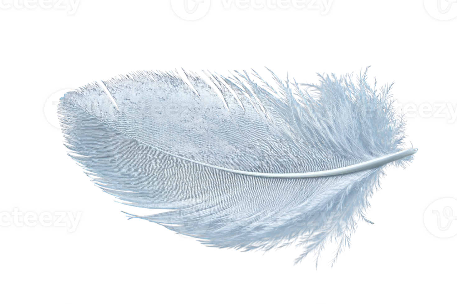 Soft blue feather resting on a white surface showcasing delicate textures and intricate fluffiness png