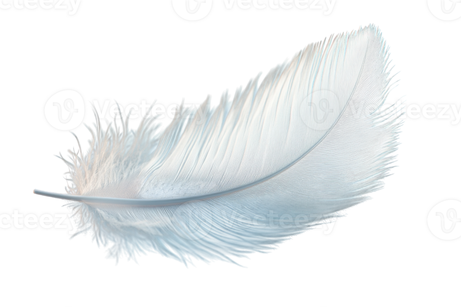 Delicate white feather resting softly against a plain background highlighting its texture and shape png