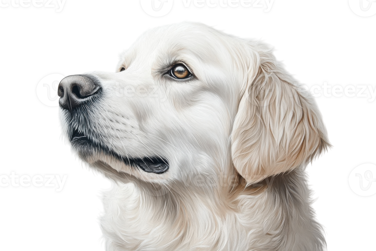 Golden retriever portrait showcasing detailed features and soft fur against a neutral background png