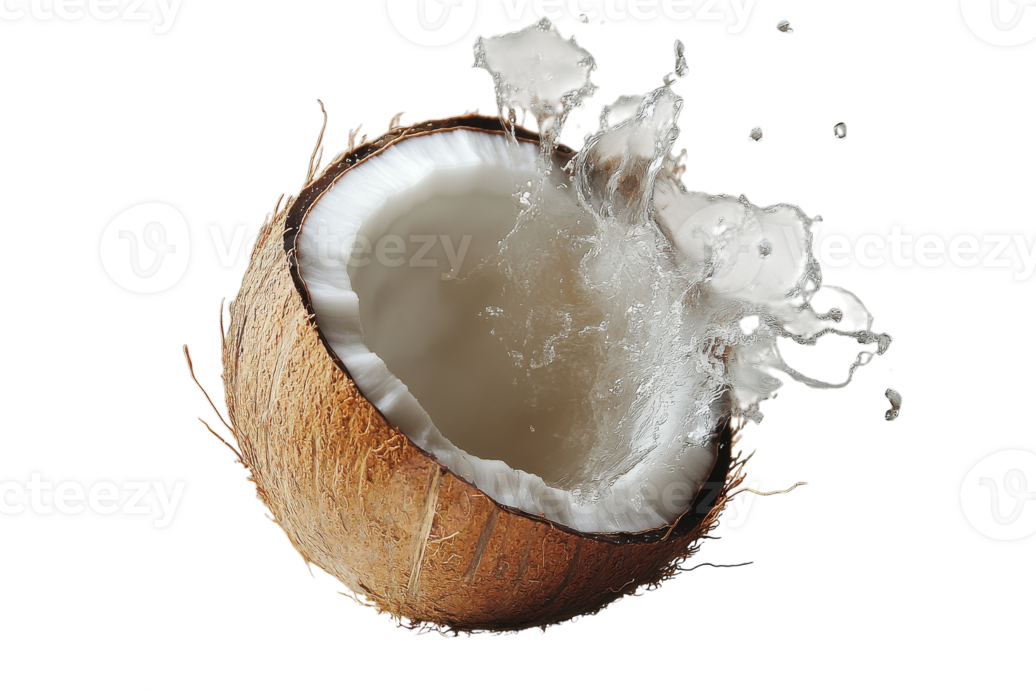 Coconut shell splashing water reveals fresh coconut water and soft white flesh png