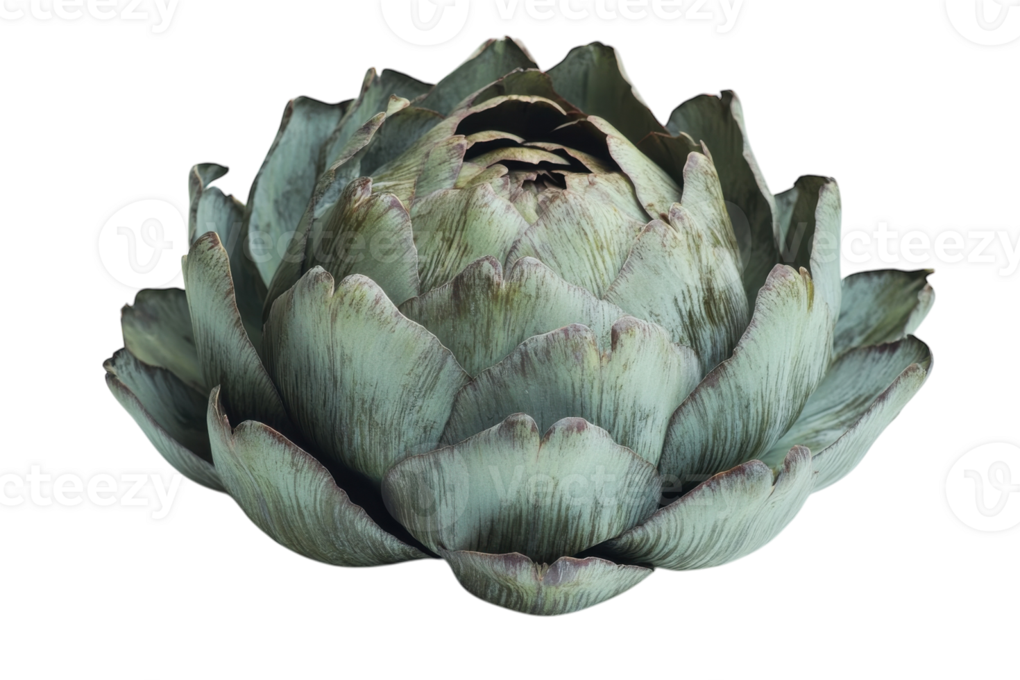 Decorative artichoke sculpture with a unique design and vibrant colors placed on a white background png