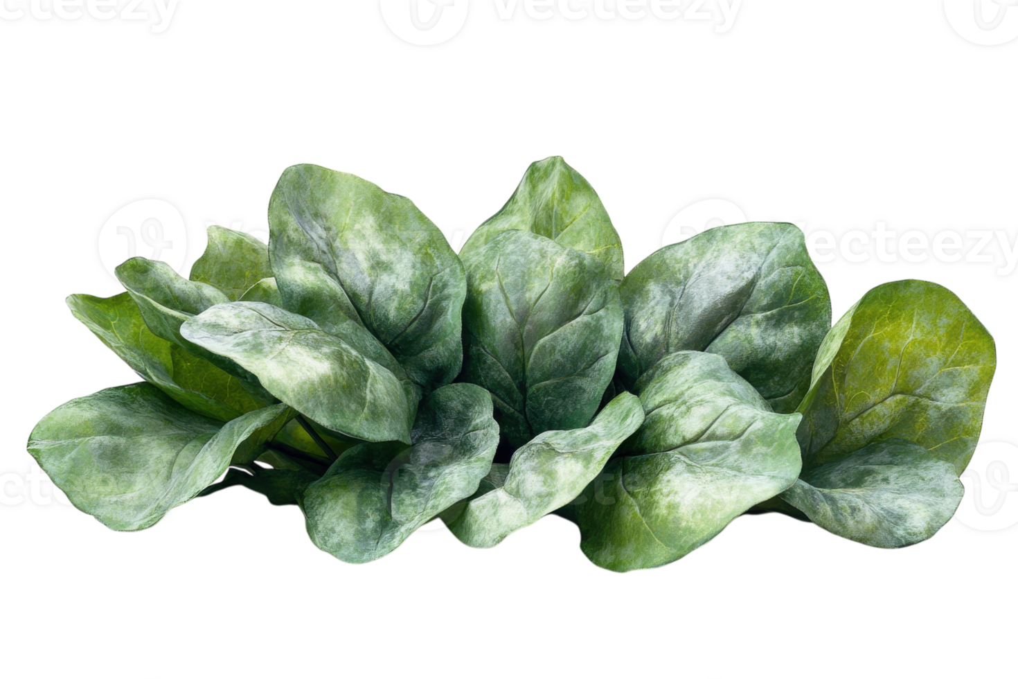 Realistic green artificial leaves arranged in a natural formation for decorative purposes indoors png