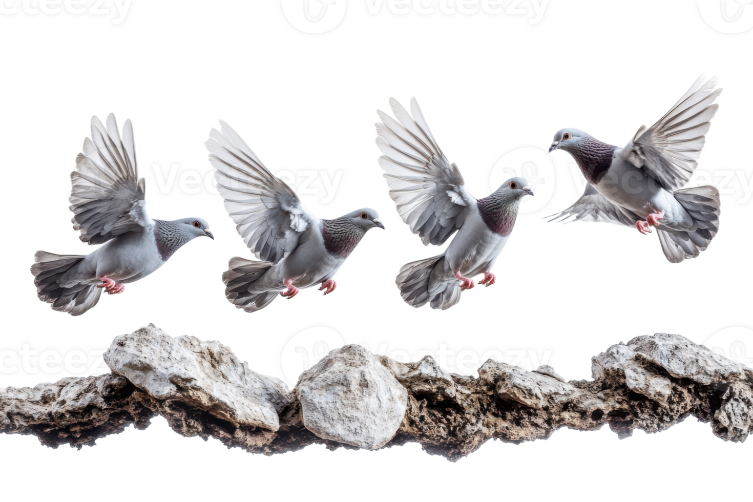 Pigeons in mid-flight captured over a weathered branch against a white background png