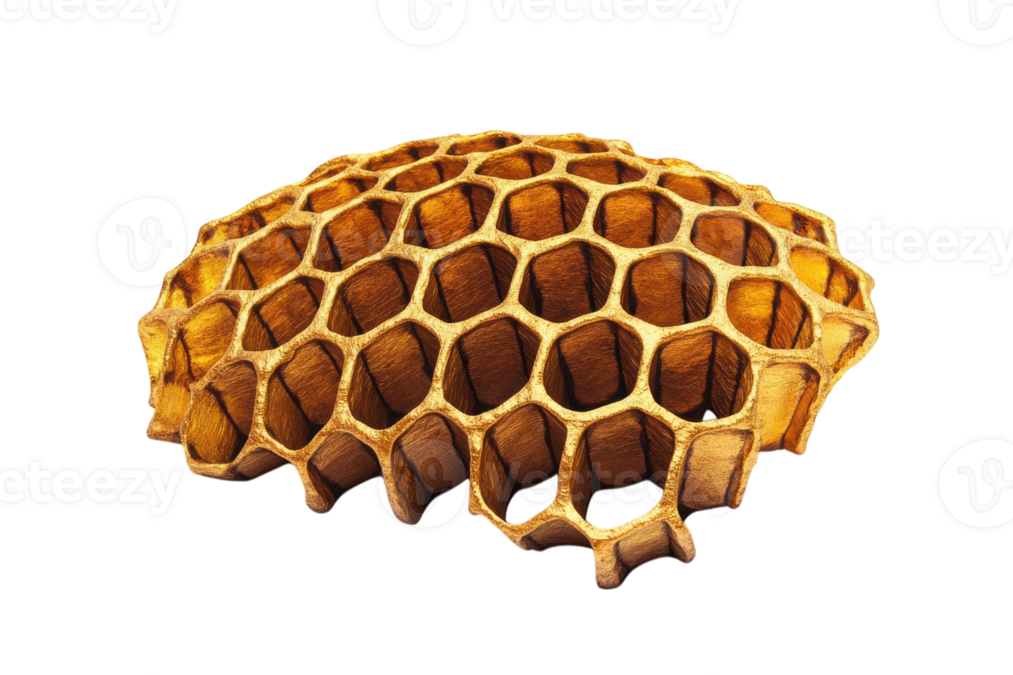 Intricate honeycomb structure showcasing natural geometric design and smooth texture png