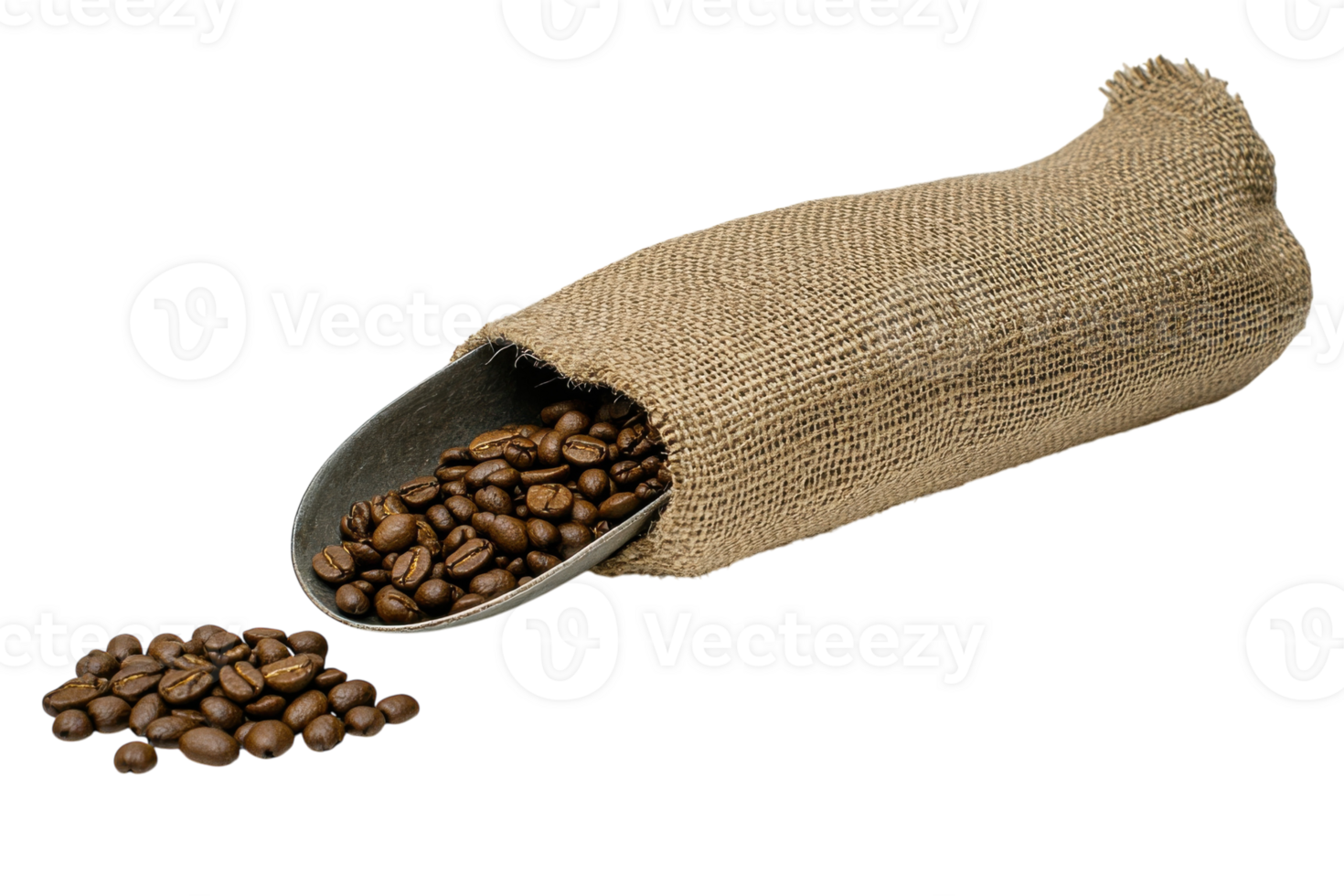 Coffee beans spilling from a burlap sack with a metal scoop on a white background showcasing freshness and richness of flavor png