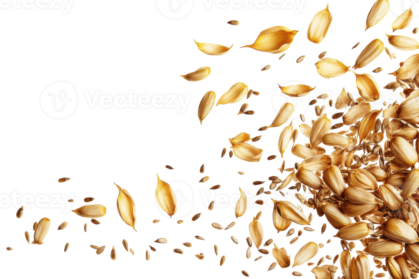 Golden seeds scatter across a white background, showcasing their texture and unique shape in an artistic arrangement png
