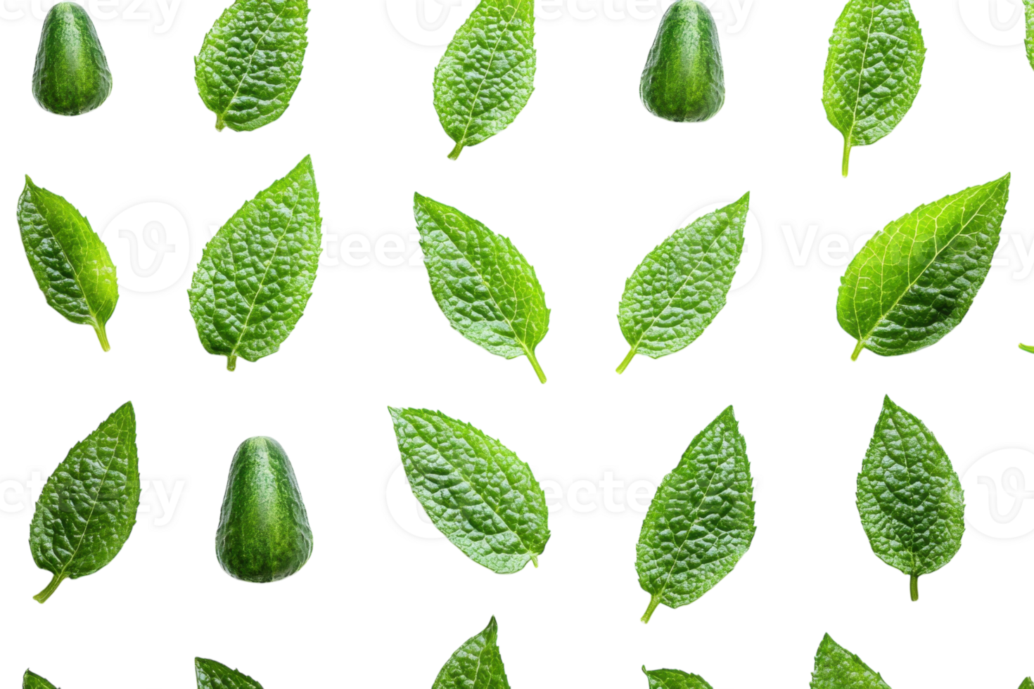 Green leaves and cucumber arranged in a repeating pattern showcasing natural textures and colors png