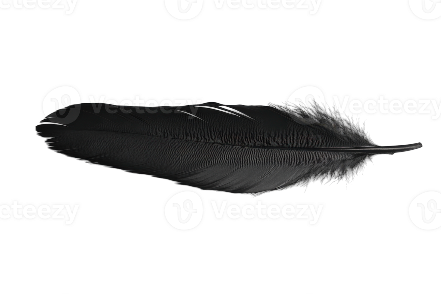 Black feather resting on a smooth surface, showcasing its intricate details and natural beauty in a minimalistic style png