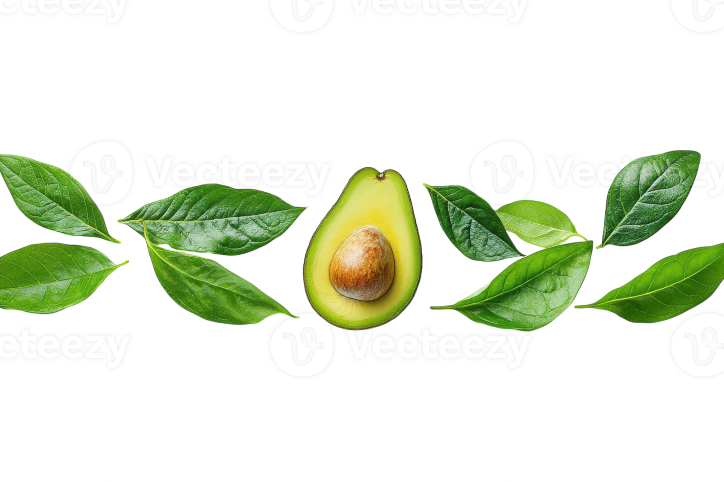 Fresh avocado with green leaves arranged in a neat line on a white background png
