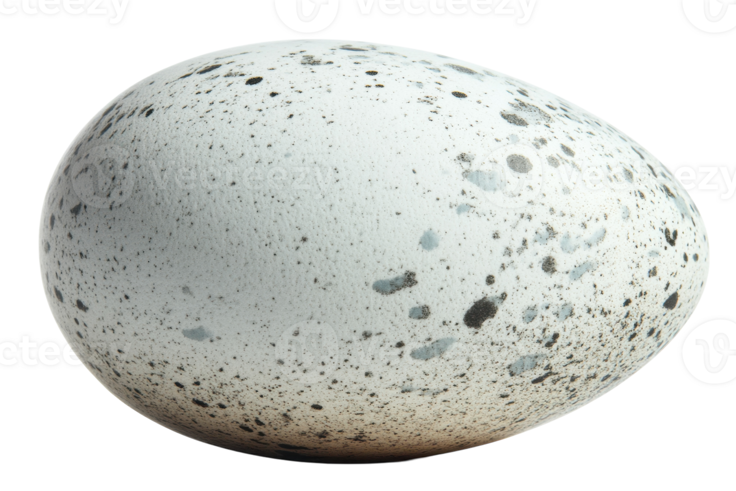 Unique speckled egg resting on a smooth surface, showcasing its distinct pattern and texture under soft lighting png