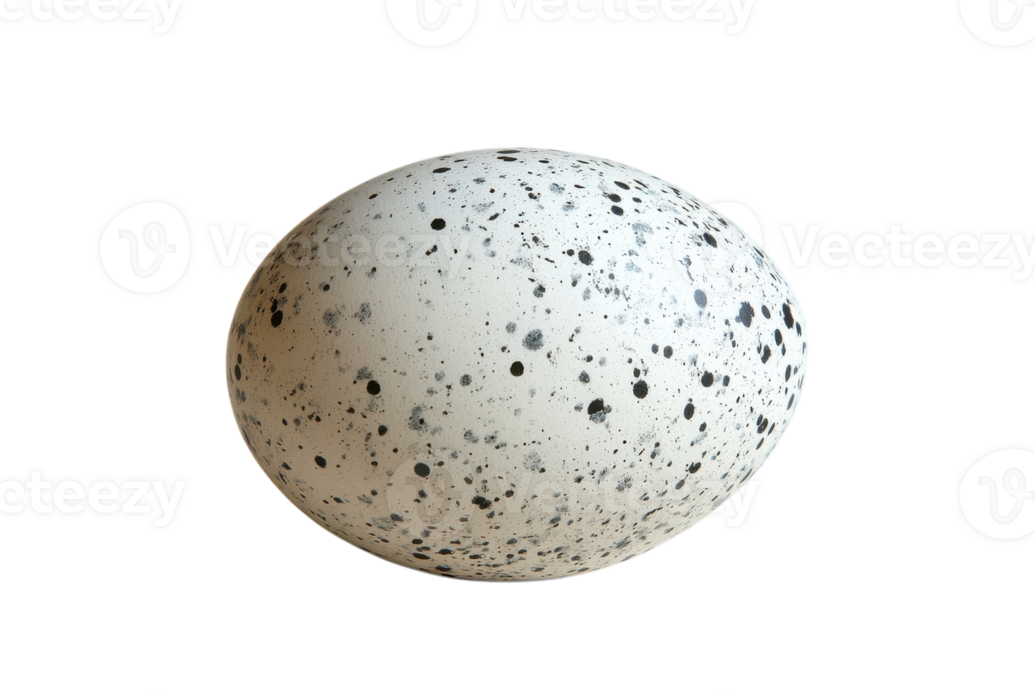 Unique speckled egg showcasing intricate patterns and textures for artistic inspiration and study png