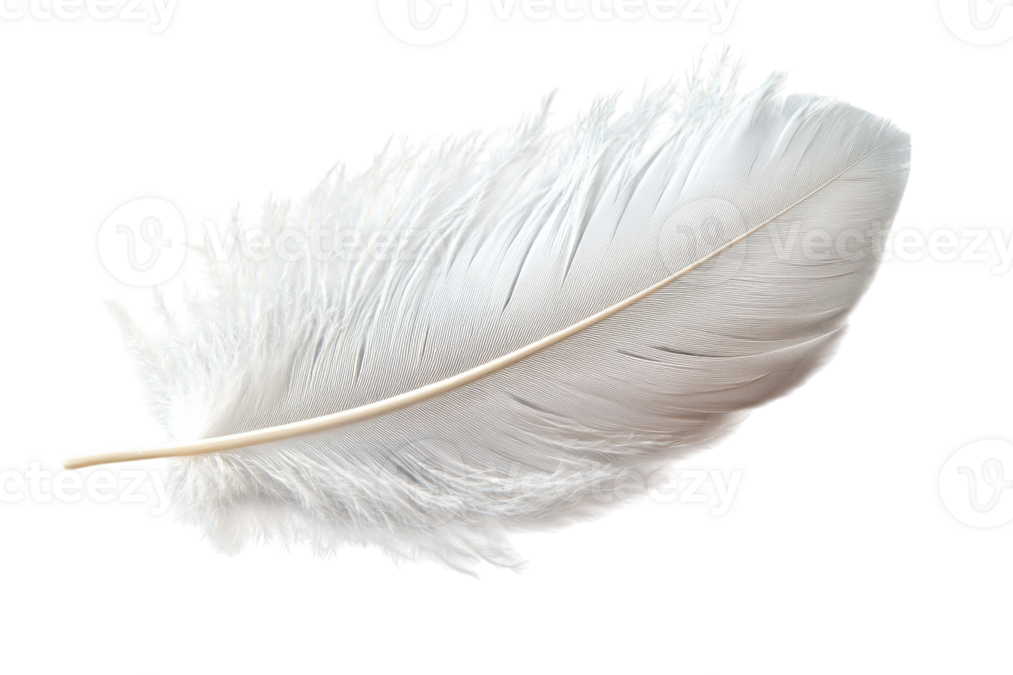 Soft white feather resting on a flat surface under bright light creating a serene atmosphere png