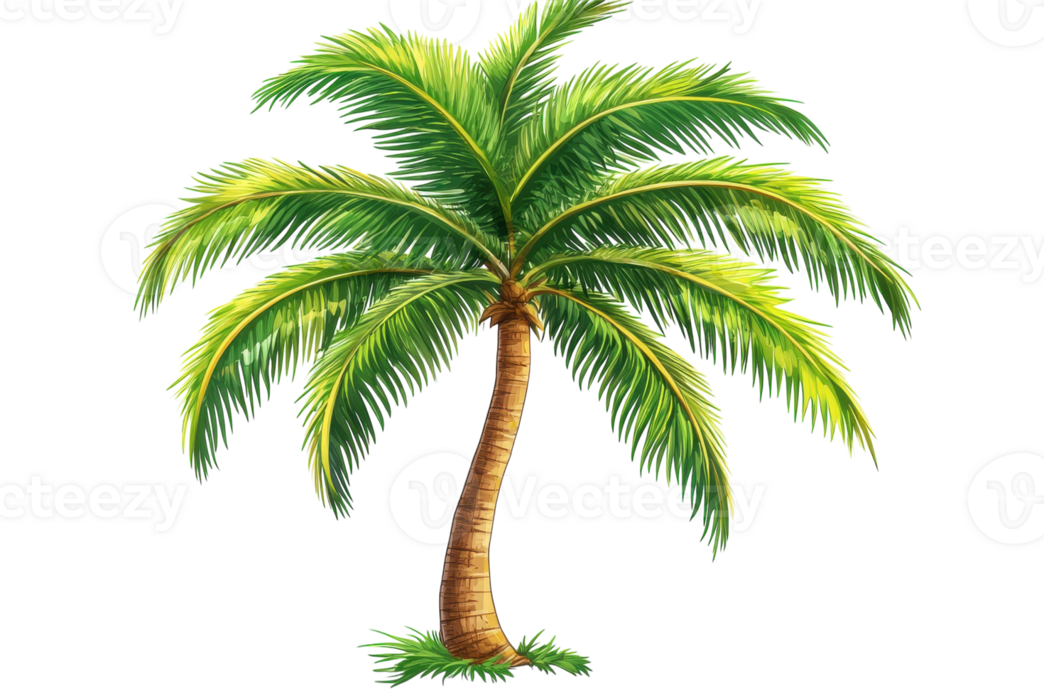 Tropical palm tree with lush green fronds captured in bright sunlight at a beach location png