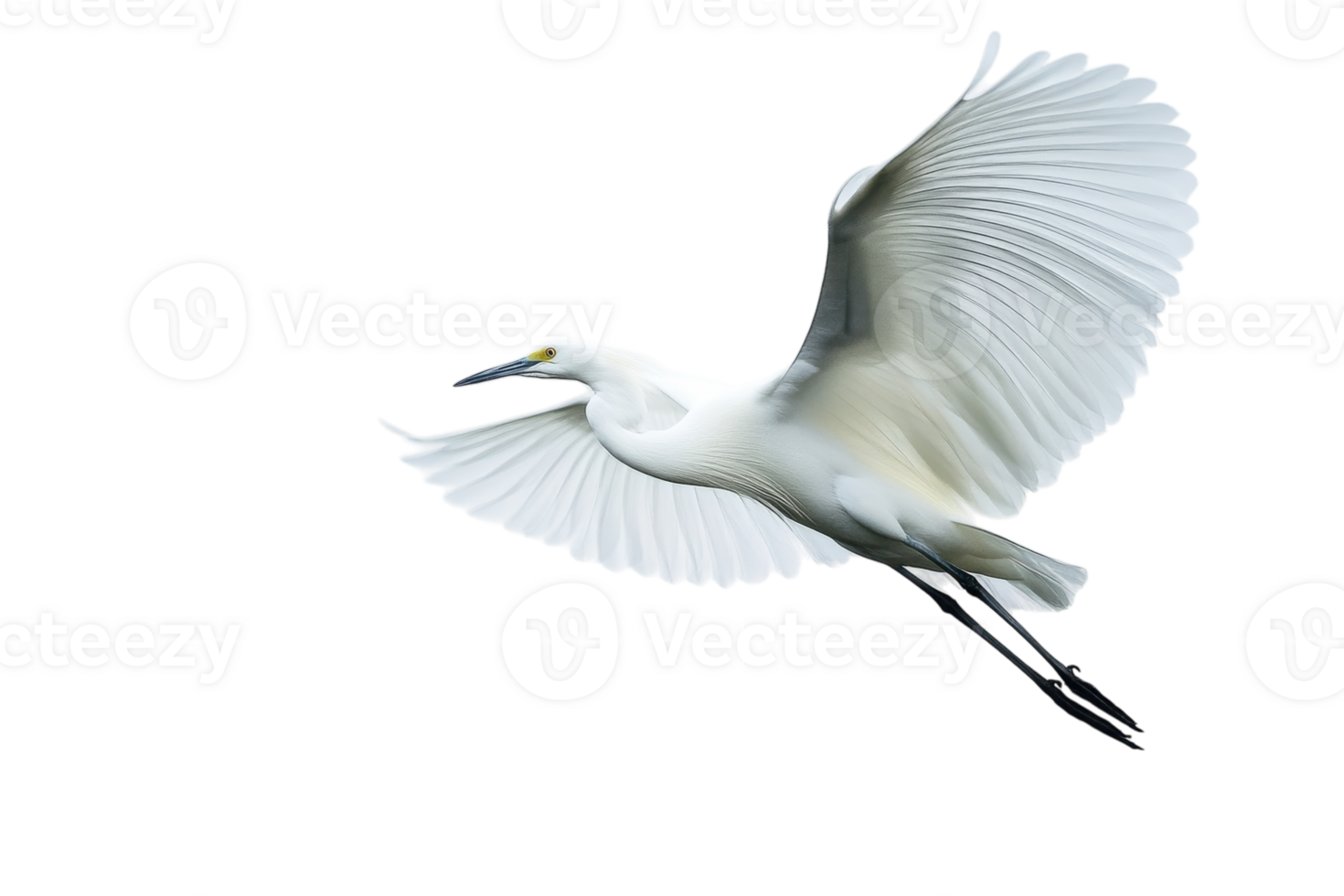 Elegant white bird takes flight against a minimalistic backdrop in search of food or a nesting site png