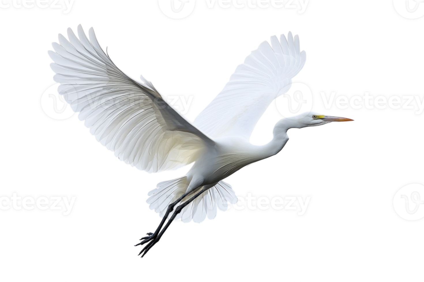 Majestic white heron taking flight against a serene white background showcasing its graceful wings and slender form png