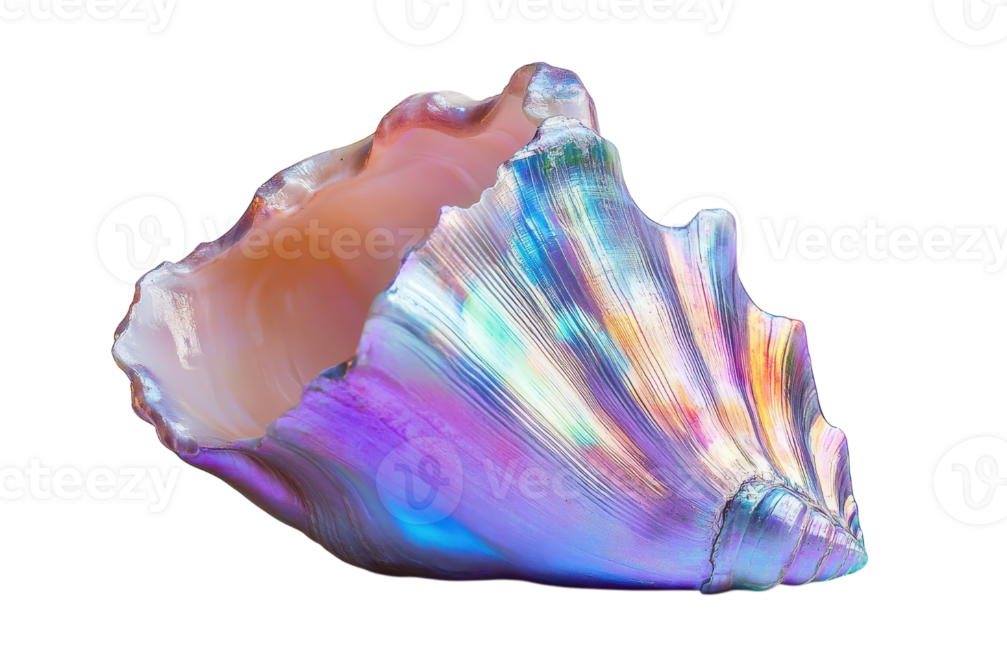 Iridescent seashell displaying vibrant colors and textures found on a sandy beach during a sunny day png