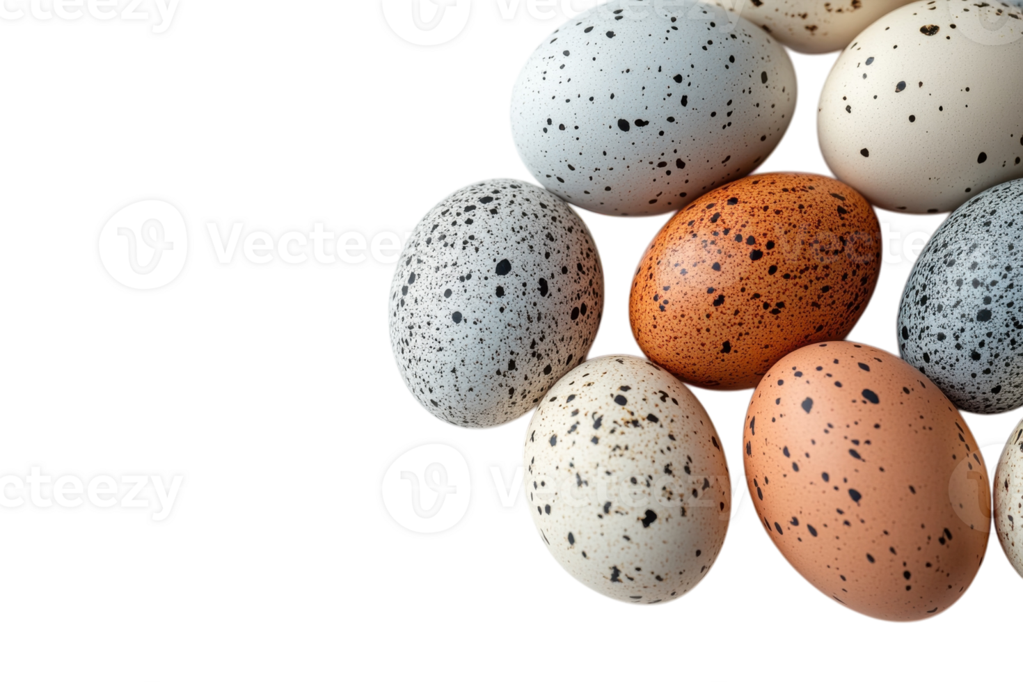 Colorful speckled eggs arranged artistically on a light background showcasing different shades and patterns png