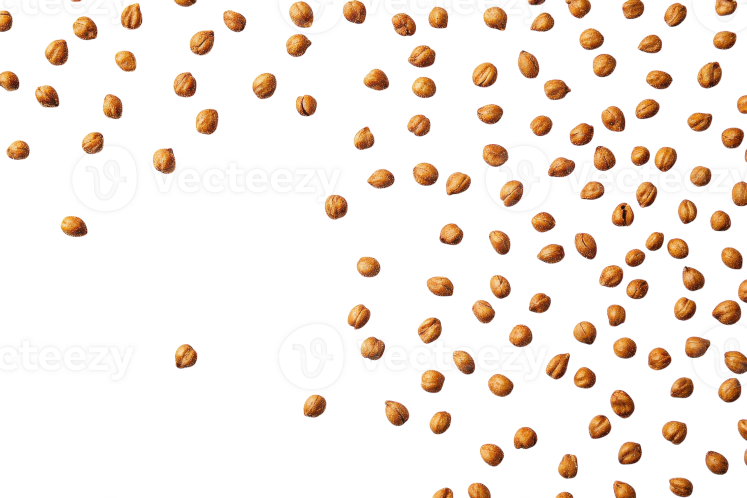 Seeds scattered across a white surface creating a minimalist and organic visual effect during daylight hours png