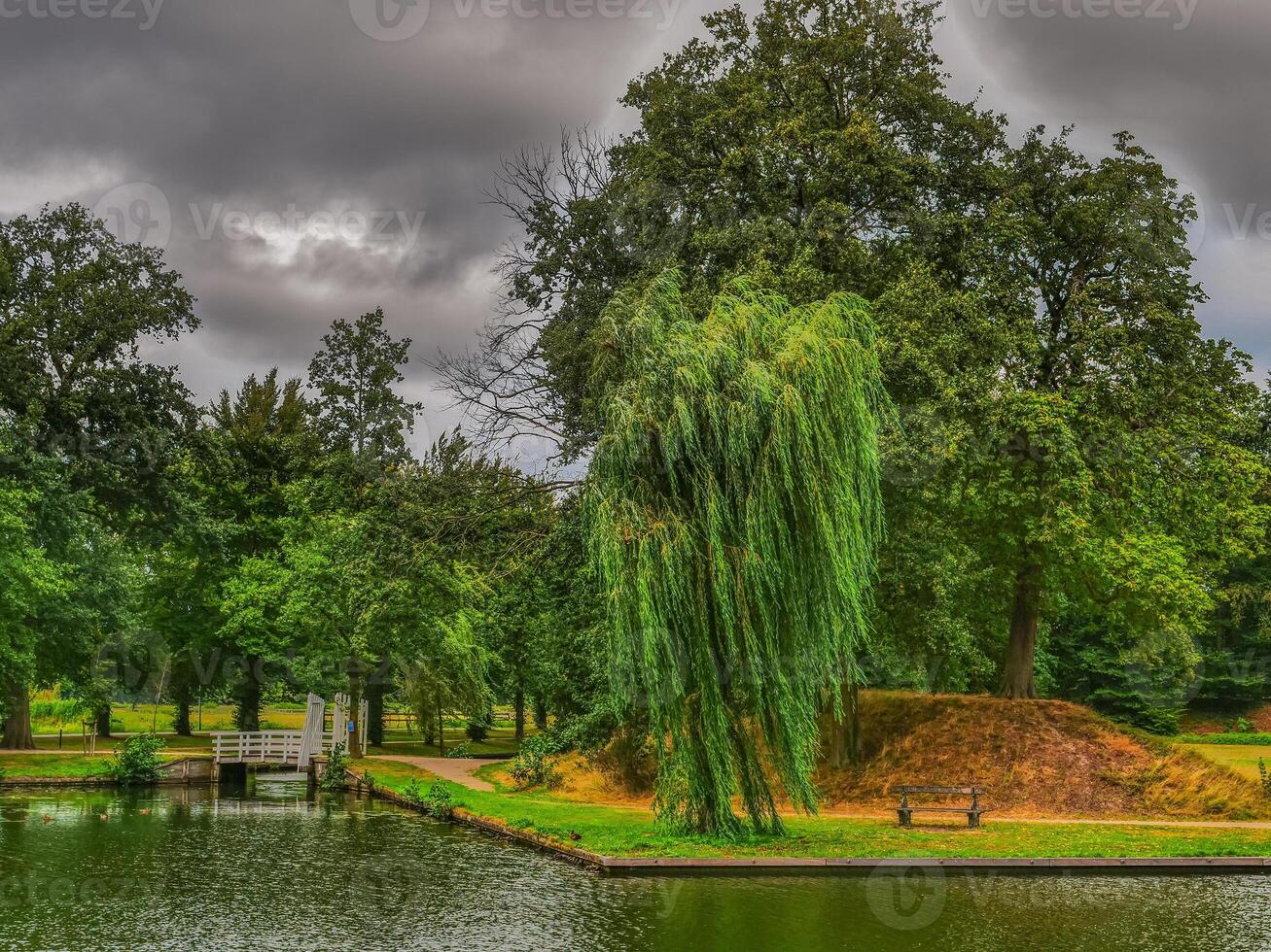 A pond with a bench and trees in the background photo